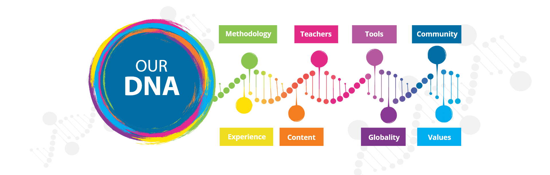 Our DNA